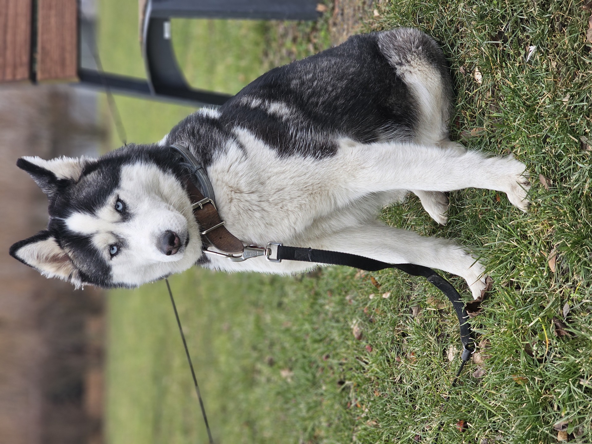 Samsung Galaxy S23 Ultra