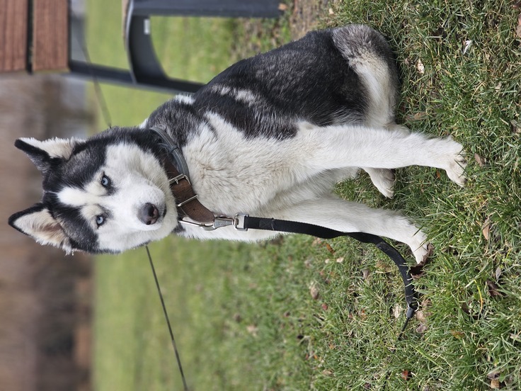 Samsung Galaxy S23 Ultra