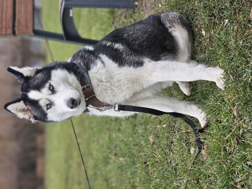 Samsung Galaxy S23 Ultra