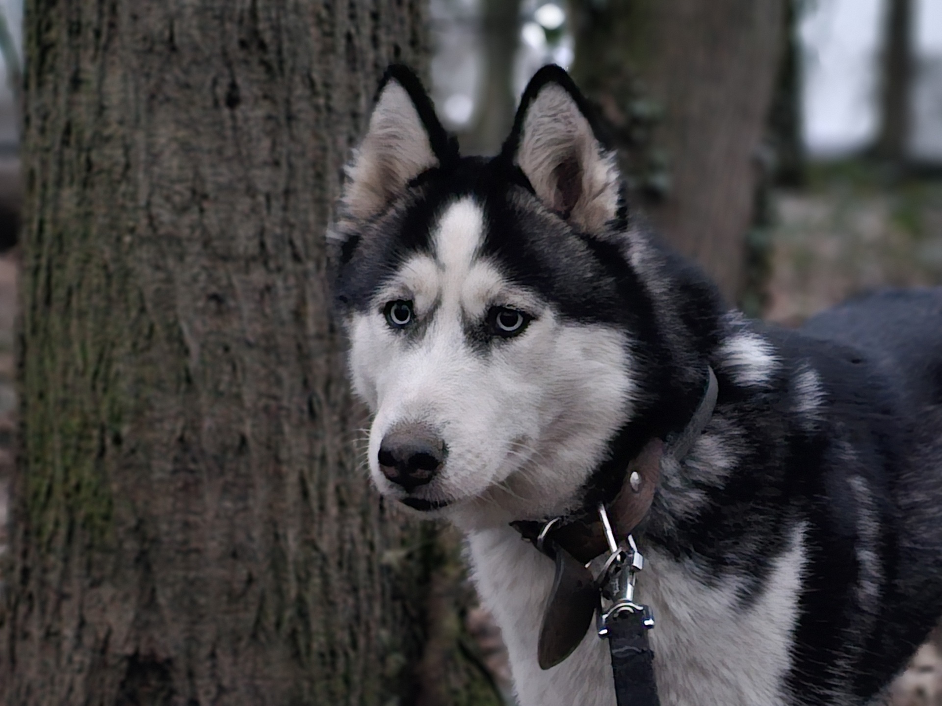 Samsung Galaxy S23 Ultra