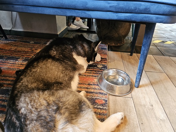 Samsung Galaxy S23 Ultra