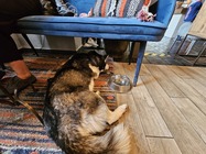 Samsung Galaxy S23 Ultra