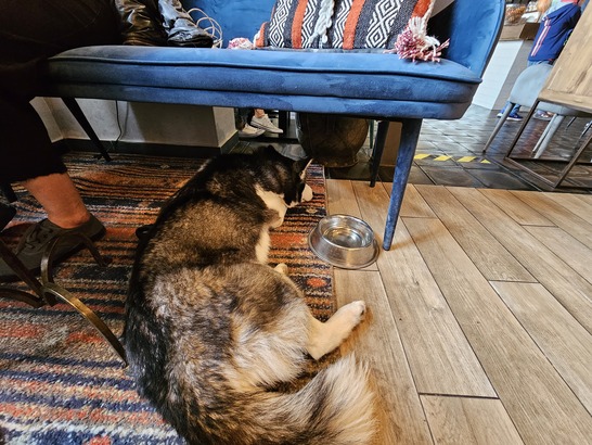 Samsung Galaxy S23 Ultra