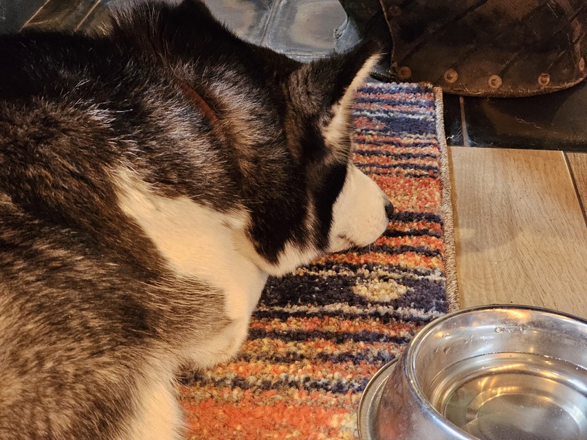 Samsung Galaxy S23 Ultra