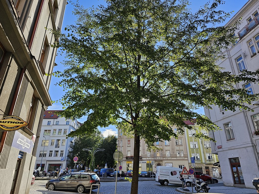 Samsung Galaxy S23 Ultra