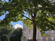 Samsung Galaxy S23 Ultra