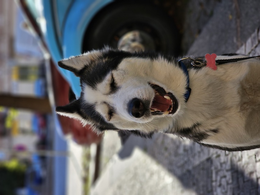 Samsung Galaxy S23 Ultra