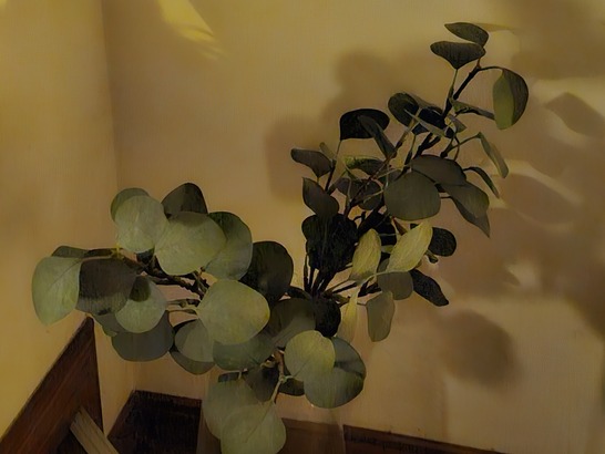 Samsung Galaxy S23 Ultra