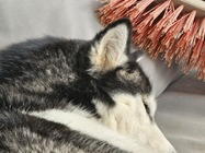 Samsung Galaxy S23 Ultra