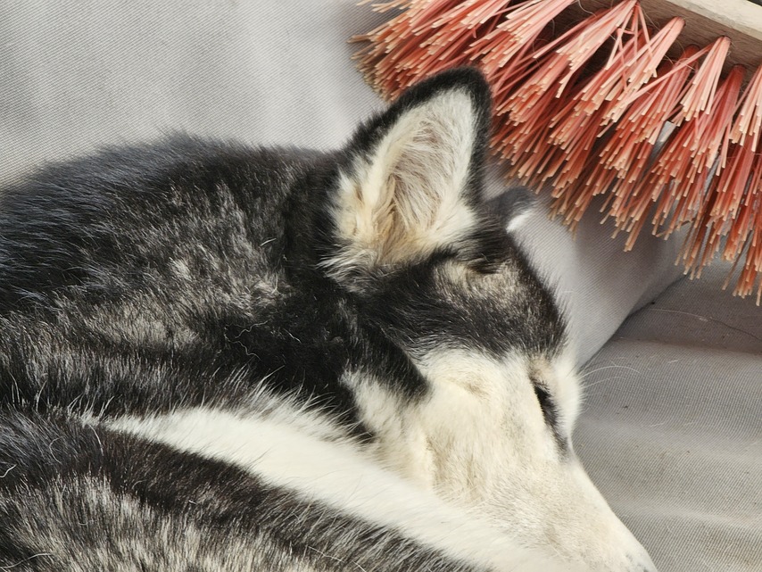 Samsung Galaxy S23 Ultra