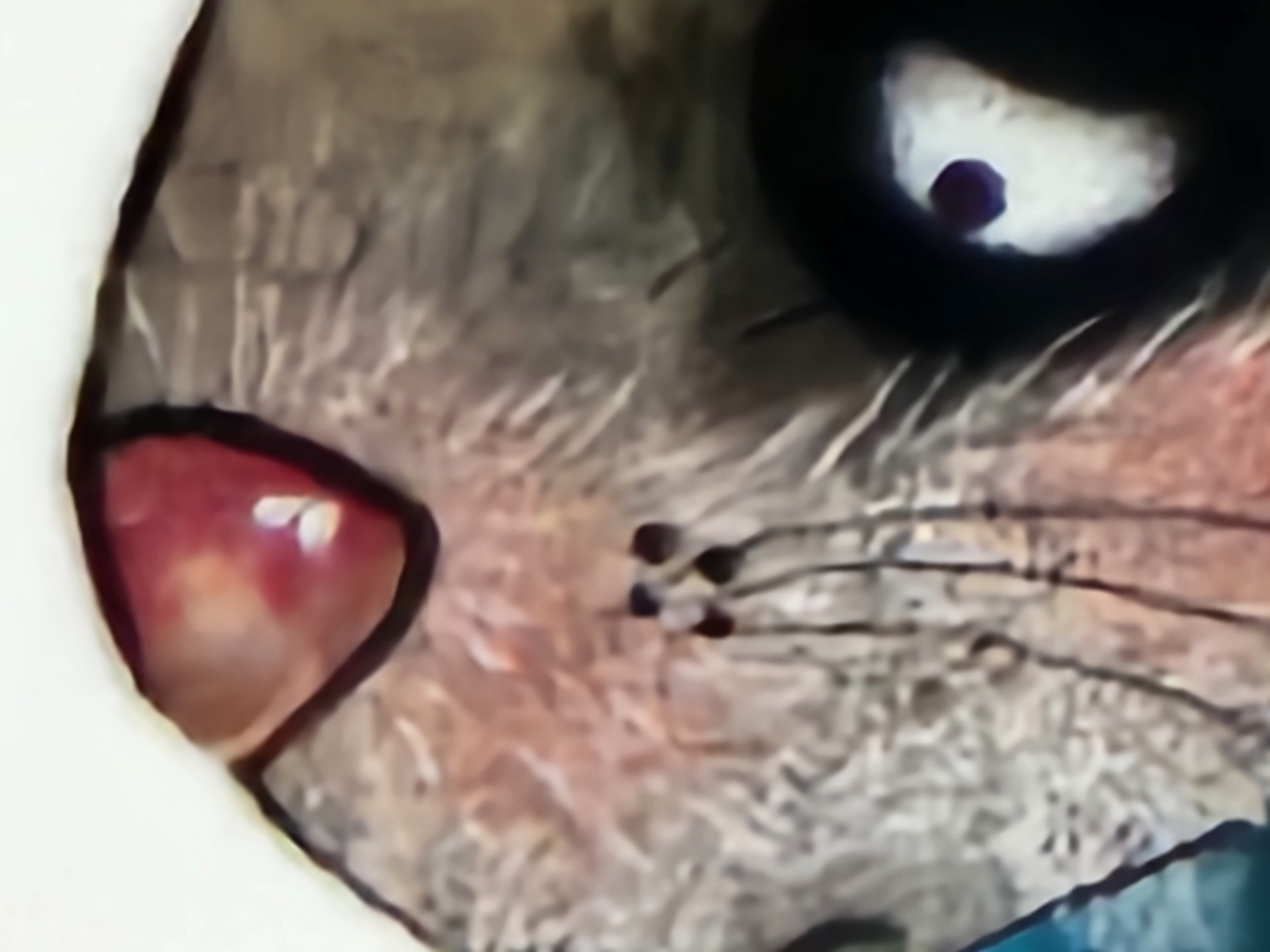 Samsung Galaxy S23 Ultra