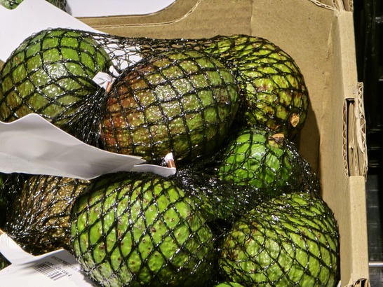 Samsung Galaxy S24 Ultra