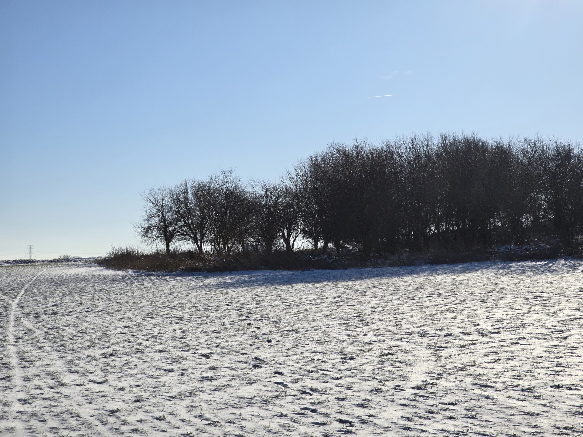 Samsung Galaxy S24 Ultra