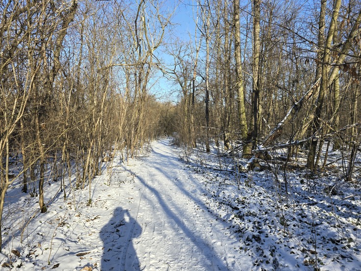 Samsung Galaxy S24 Ultra