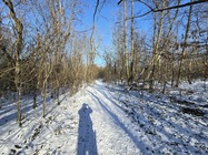 Samsung Galaxy S24 Ultra