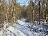 Samsung Galaxy S24 Ultra