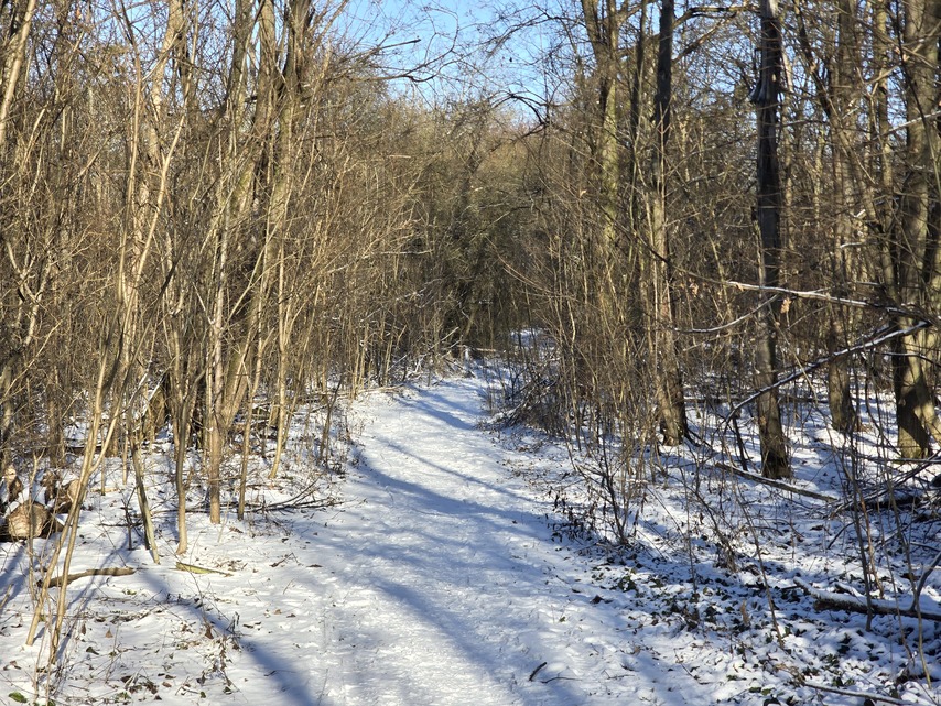 Samsung Galaxy S24 Ultra