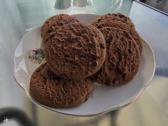 Samsung Galaxy S24 Ultra