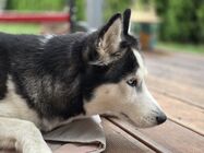 Samsung Galaxy S25 Edge