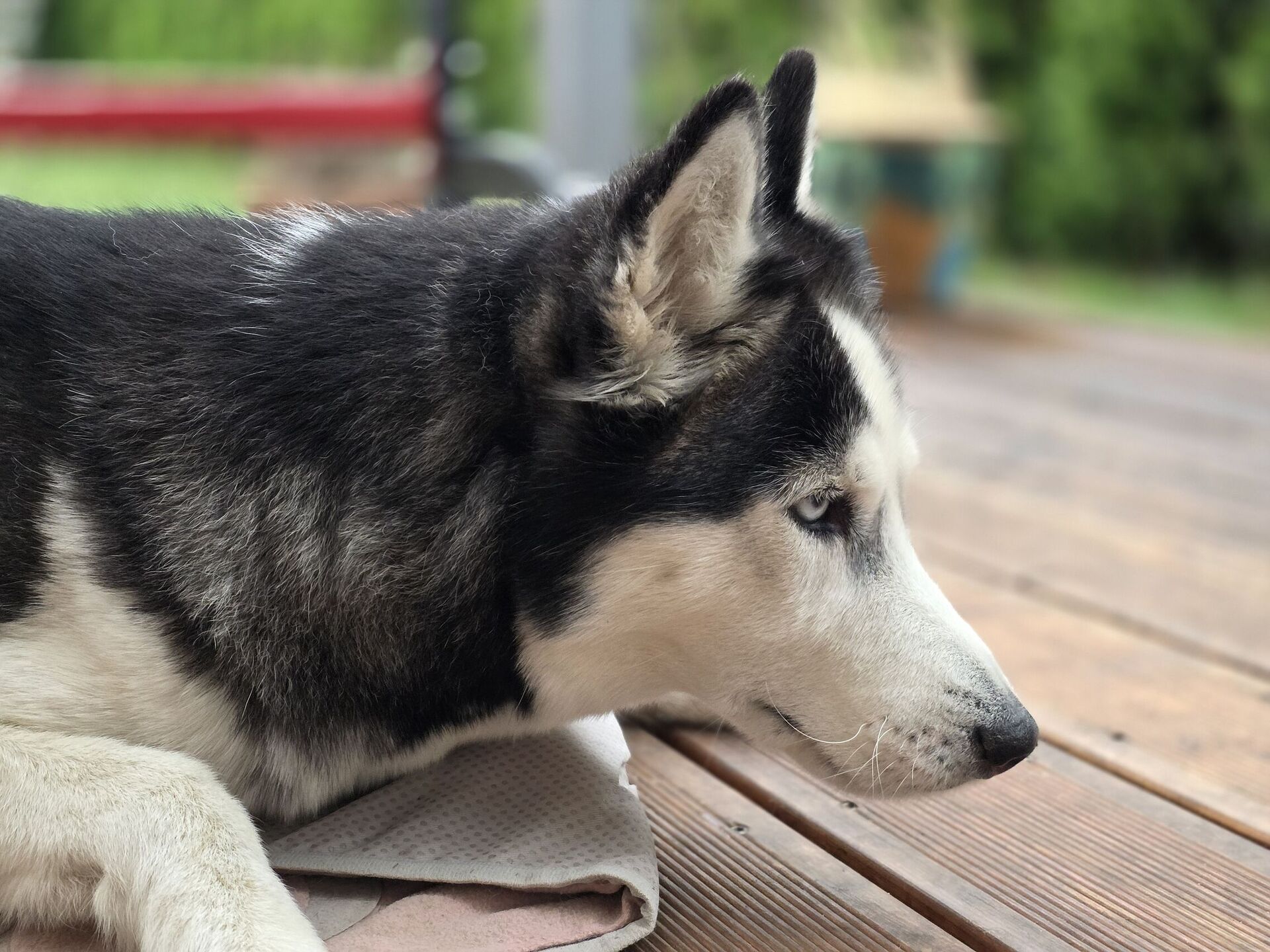 Samsung Galaxy S25 Edge