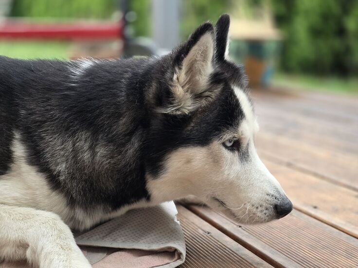 Samsung Galaxy S25 Edge