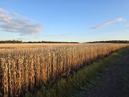 Samsung Galaxy S25 Edge