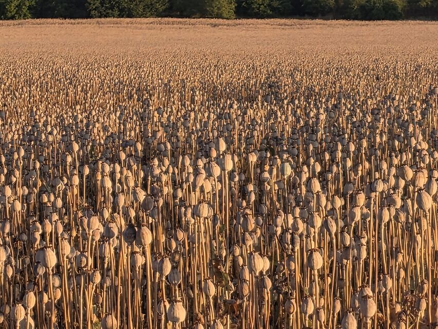 Samsung Galaxy S25 Edge