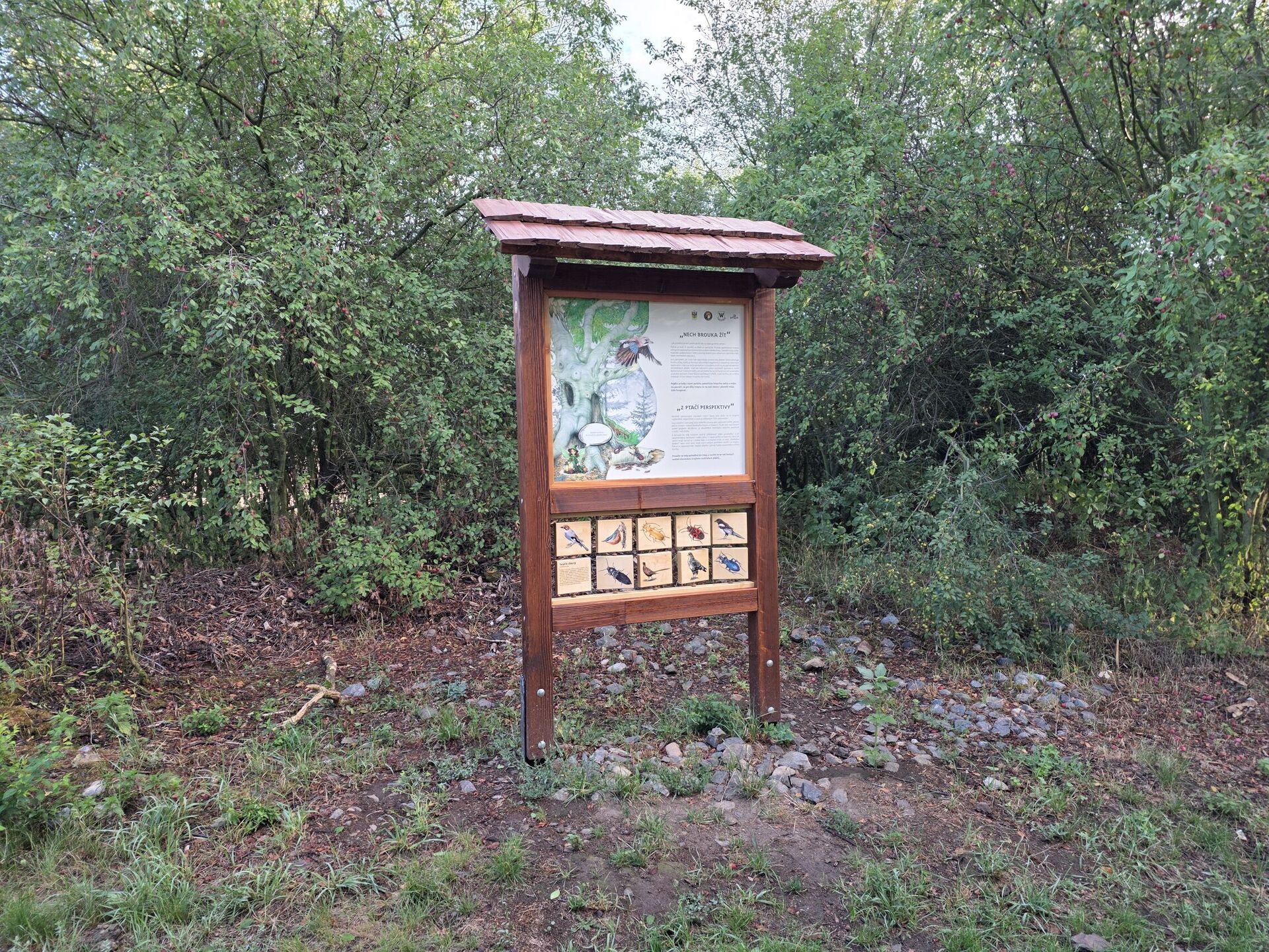 Samsung Galaxy S25 Edge