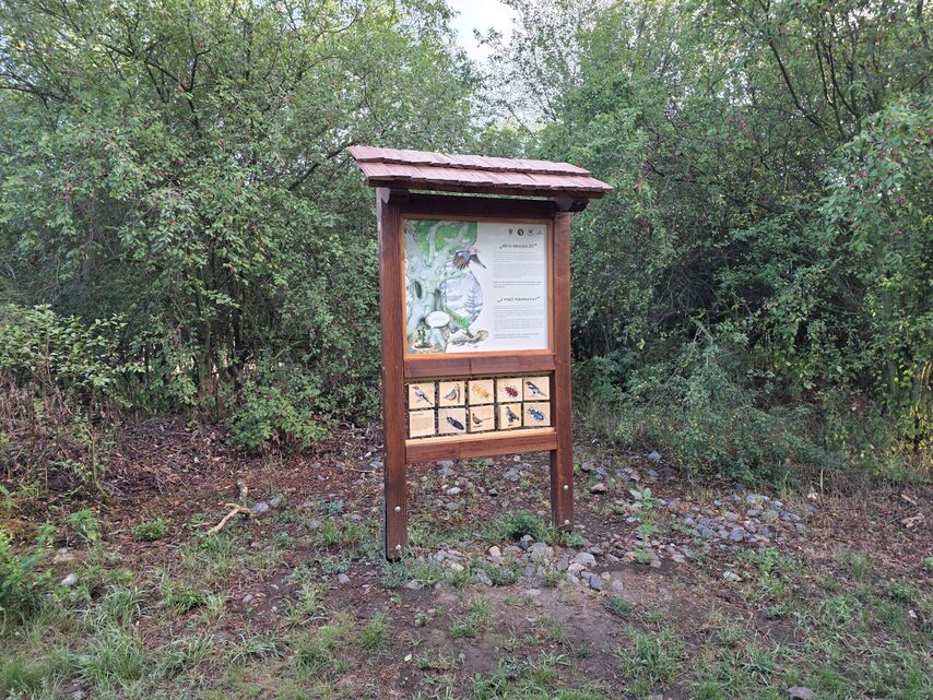 Samsung Galaxy S25 Edge