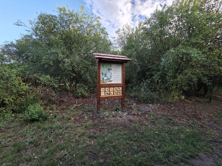 Samsung Galaxy S25 Edge