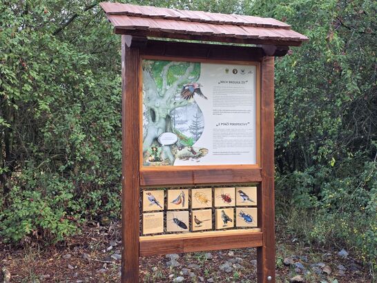 Samsung Galaxy S25 Edge