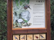 Samsung Galaxy S25 Edge