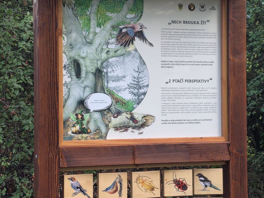 Samsung Galaxy S25 Edge