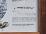 Samsung Galaxy S25 Edge