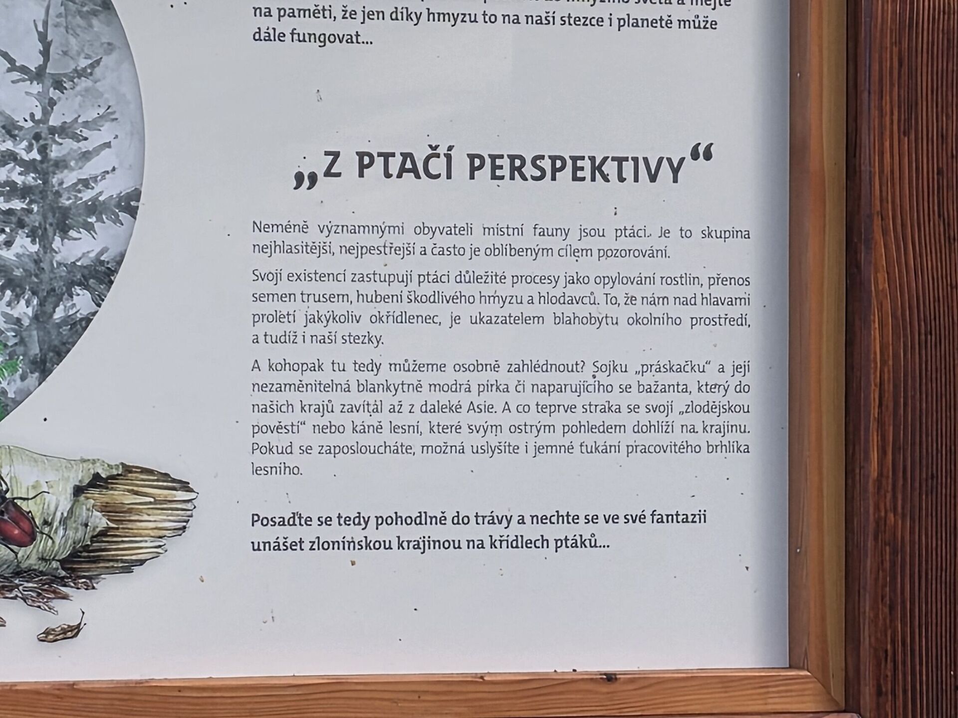 Samsung Galaxy S25 Edge