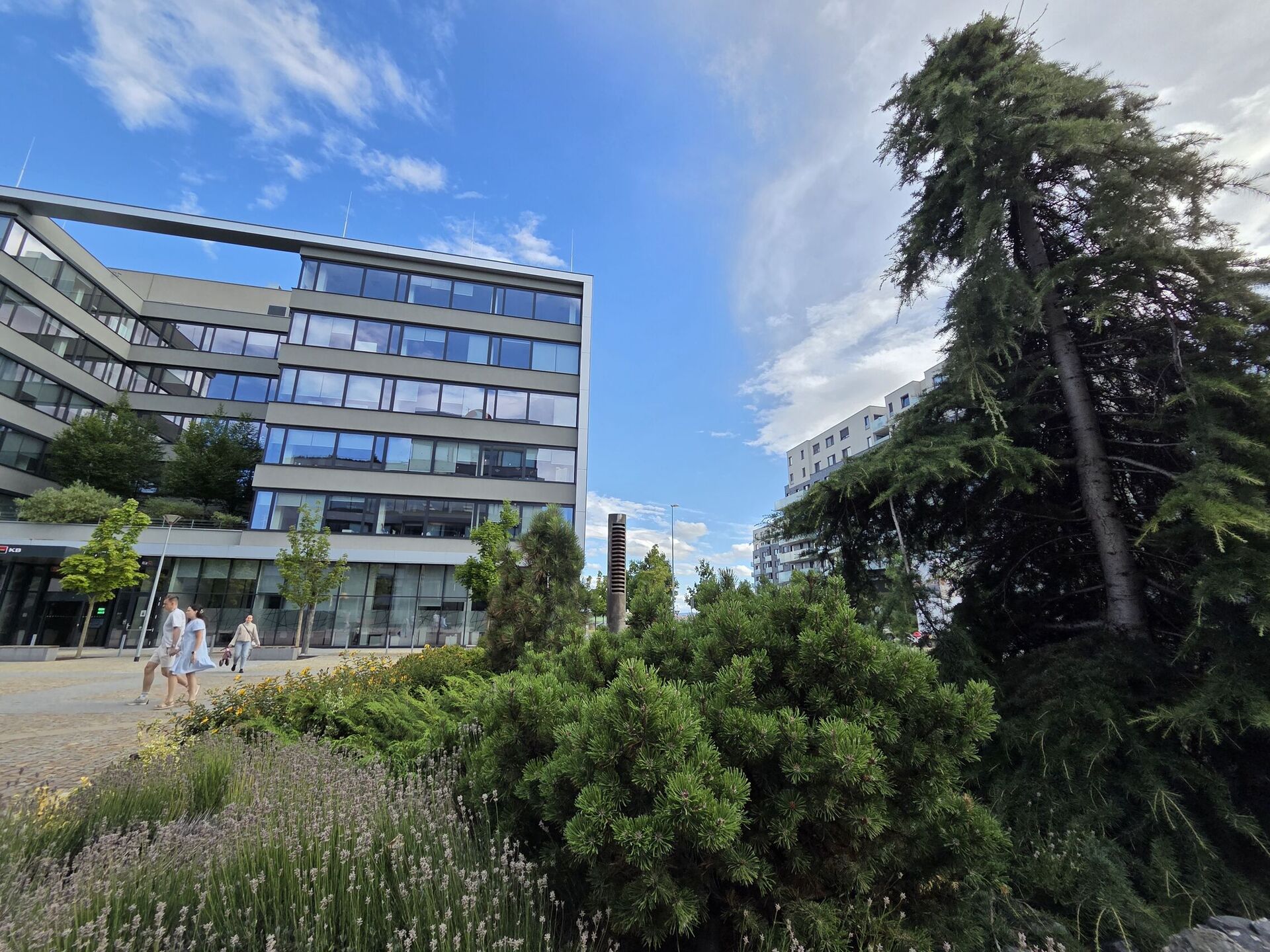 Samsung Galaxy S25 Edge