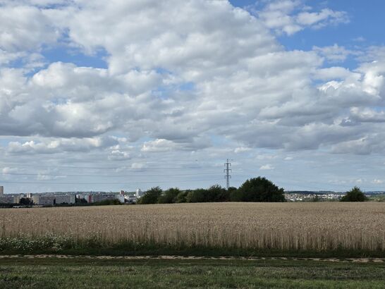 Samsung Galaxy S25 Edge