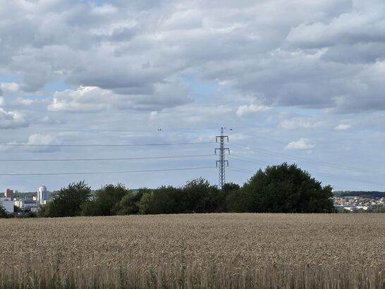 Samsung Galaxy S25 Edge