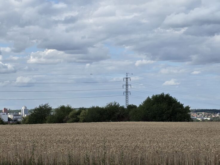 Samsung Galaxy S25 Edge