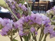 Samsung Galaxy S25 Edge