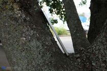 Samsung Galaxy S25 Edge