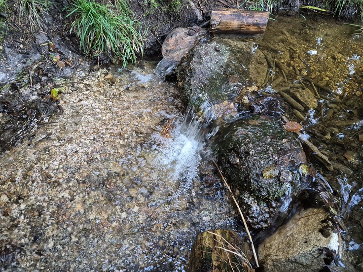 Samsung Galaxy S25 FE