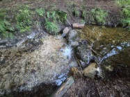 Samsung Galaxy S25 FE