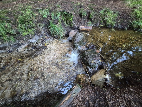 Samsung Galaxy S25 FE