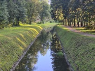 Samsung Galaxy S25 FE