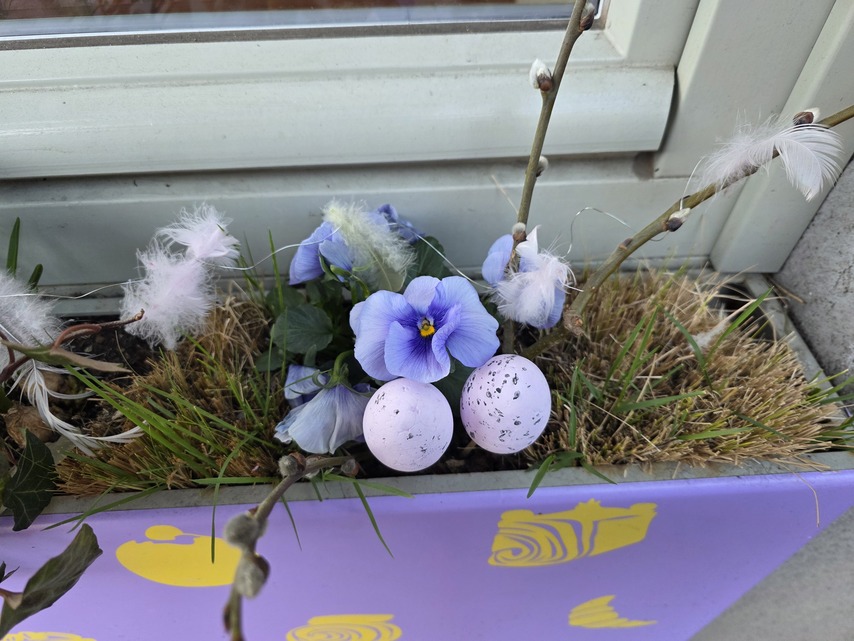 Samsung Galaxy S25 Ultra