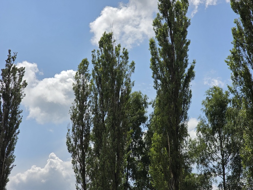 Samsung Galaxy S25 Ultra