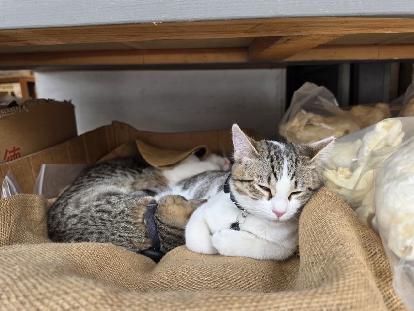 Samsung Galaxy S26 Ultra