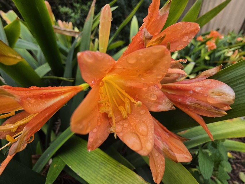 Samsung Galaxy S26 Ultra