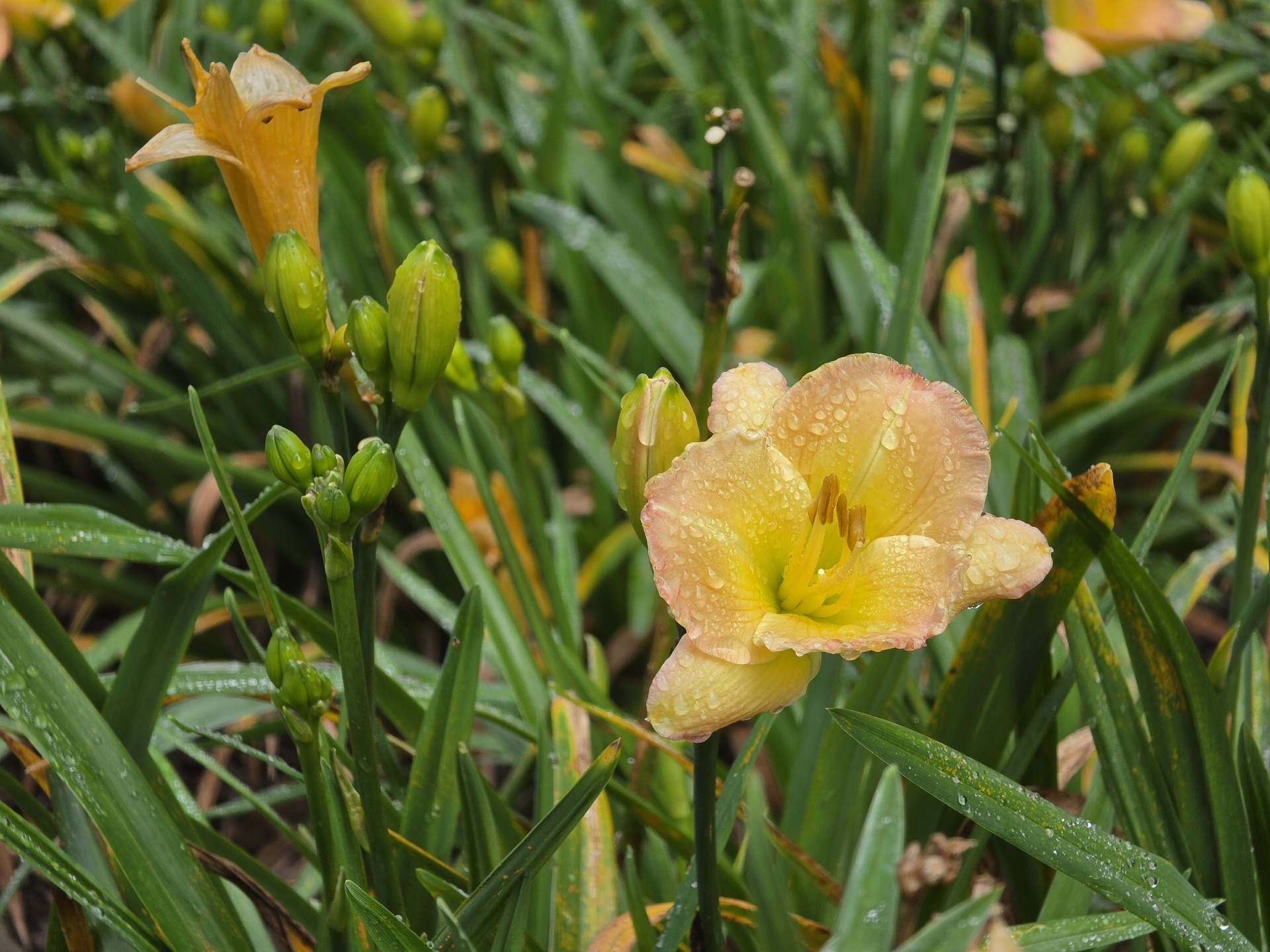 Samsung Galaxy S26 Ultra